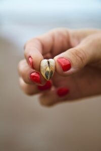 shell, heart, nature background, hand, nature, love, sea, beach, phone wallpaper